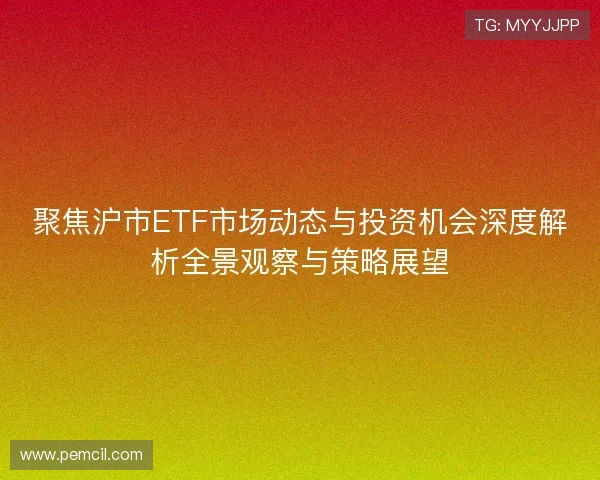 聚焦沪市ETF市场动态与投资机会深度解析全景观察与策略展望